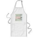 Search for flying aprons Aircraft