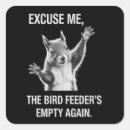 Recherche de écureuil de autocollants Humour