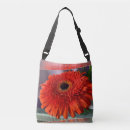 Search for orange blossom bags Background