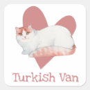 Search for turkish stickers Watercolor