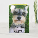Search for schnauzer birthday cards Happy