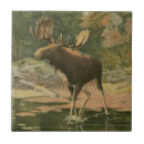 Search for moose tiles Deer