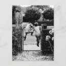 Recherche de enfants noirs cartes postales Vintage