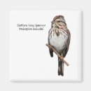 Search for songs magnets White