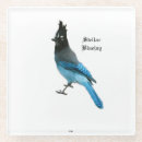 Search for blue jay barware Bird