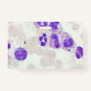 Search for hematology Lab