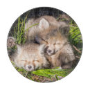 Recherche de animaux planches à découper Mignonette