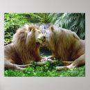 Search for affectionate posters Animals