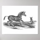 Recherche de zèbres art Pour elle