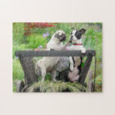 Search for boston terrier puzzles Cute