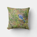 Recherche de arbustes coussins Bleu