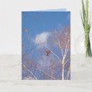 Search for cardinal cards Birch