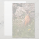 Search for robin stationery paper Bird