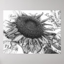 Search for black and white botanical art Vintage
