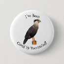 Search for crested buttons Bird