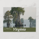 Recherche de chauve cartes postales Paysage