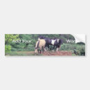 Search for horse ranch bumper stickers Rodeo
