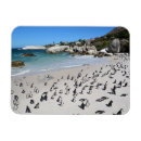 Recherche de rocher magnets Littoral