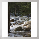Recherche de diana art Nature