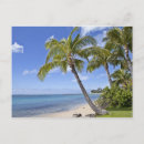 Search for hawaii postcards Outdoors