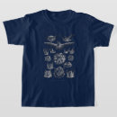 Search for chiroptera Bat