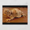 Recherche de corné cartes postales Crapaud