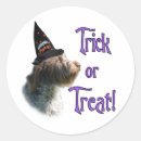 Recherche de griffon autocollants Chien