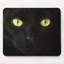 Recherche de plot réflectorisé noir Vert