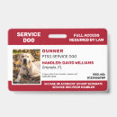 Search for service dog Emotional support animal