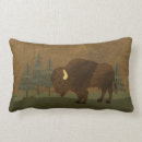 Search for native american pillows Bison