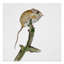 Search for tree mouse posters Watercolor