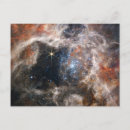 Search for tarantulas postcards Space