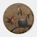Recherche de oiseau vintage magnets Peinture