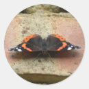 Search for admiral stickers Butterfly