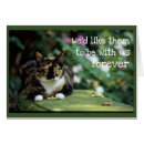 Search for cat sympathy cards Condolence