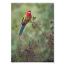 Search for 5x7 art Colourful