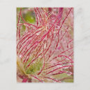 Recherche de fumée cartes postales États unis