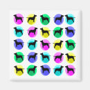 Search for bullis magnets Terrier