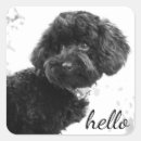 Search for dog friends stickers Pets