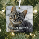 Search for cat memorial ornaments Merry christmas