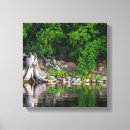 Search for tree reflection canvas prints Water