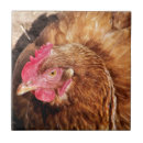 Search for chicken tiles Hens