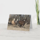 Search for bob cards Bashkir curly