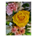 Recherche de message posters Botanique