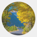 Search for aspen colorado stickers Autumn