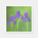 Recherche de iris serviettes Violet