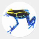 Search for dart frog stickers Arrow