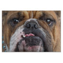 Recherche de bouledogue français planches à découper Chien