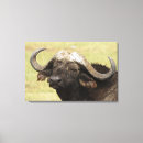 Recherche de savane africaine art Faune