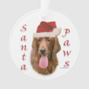 Search for irish santa ornaments Dog